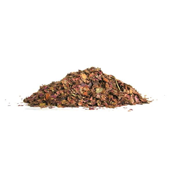 VIGNE ROUGE* BIO 100 G - FEUILLE - VITIS VINIFERA BIO