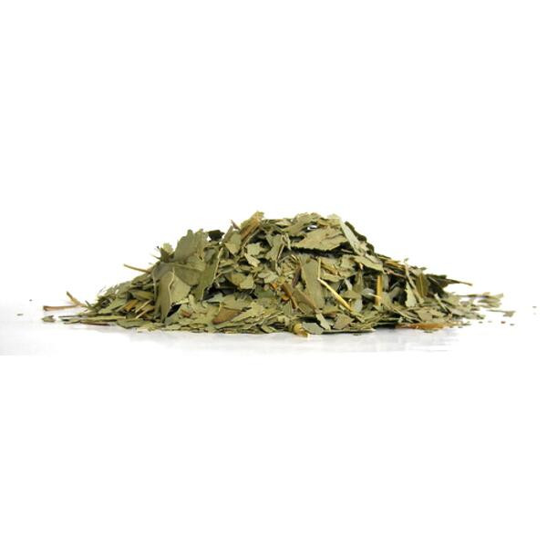 EUCALYPTUS (Eucalyptus globulus) BIO* 300G