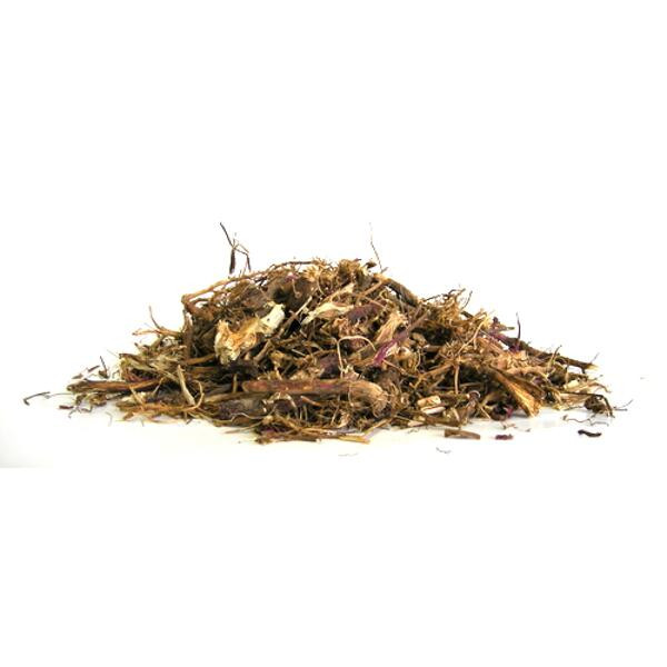 ECHINACEE BIO* 500G