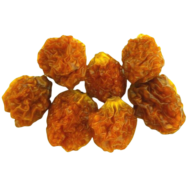 PHYSALIS SECHEES BIO* CARTON 4x1,25KG